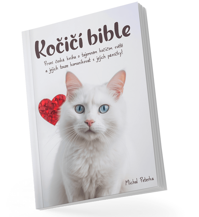 Kniha Kočičí bible