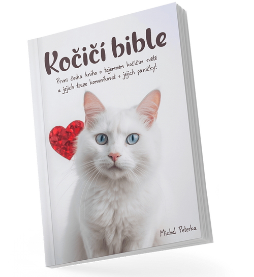 Kniha Kočičí bible