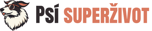 UpCart header logo